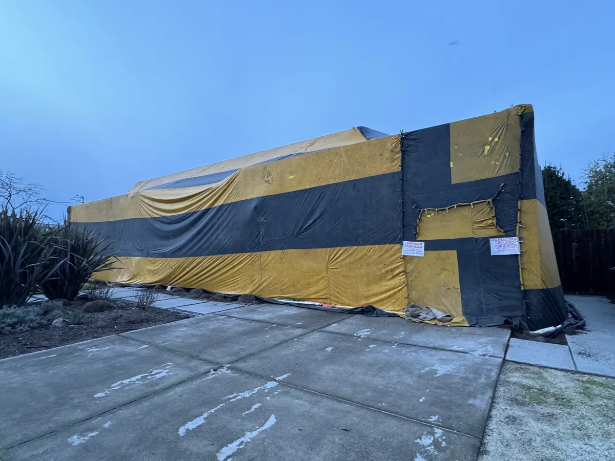 A low building wrapped in yellow and black fumigation tarps, with warning notices pinned to the front