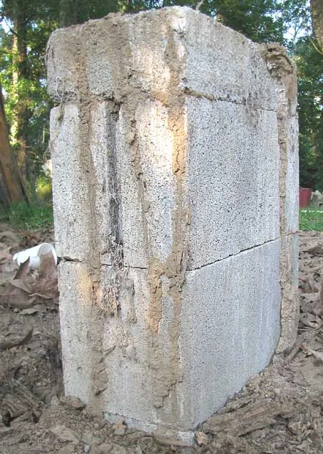 Thin mud tubes running up the side of a concrete foundation block